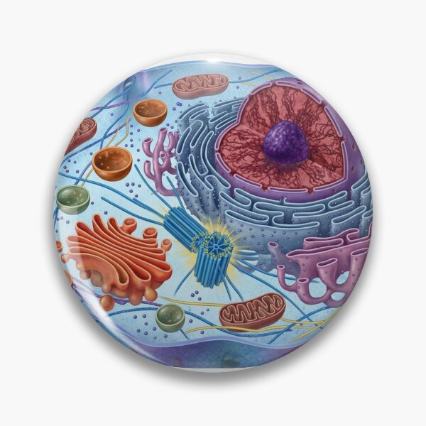 Item preview, Animal Cell designed and sold by Chaoscience.