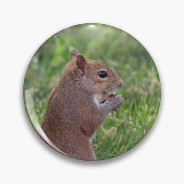 Item preview, Squirrel designed and sold by Courbney .