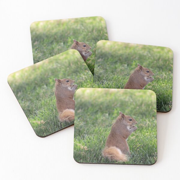 Item preview, Squirrel designed and sold by Courbney .