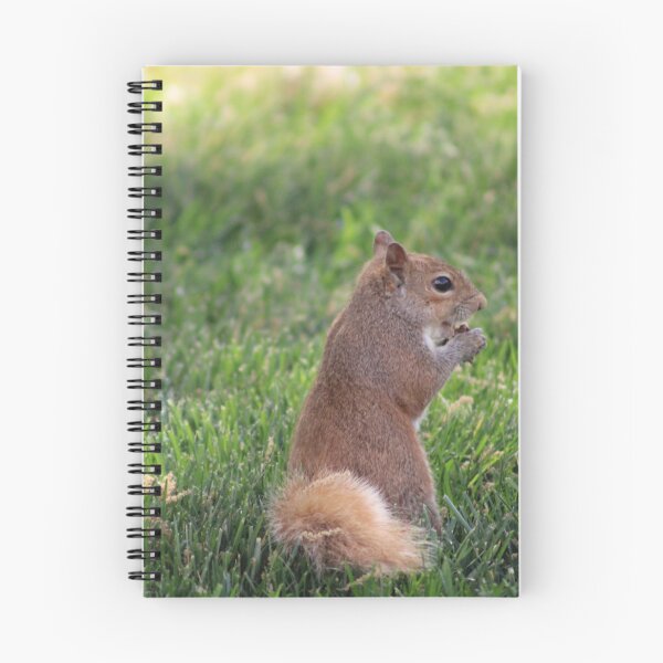 Item preview, Squirrel designed and sold by Courbney .