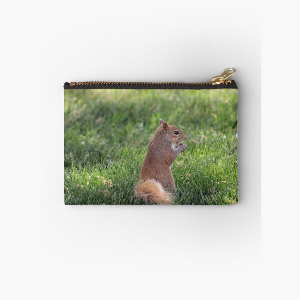 Item preview, Squirrel designed and sold by Courbney .