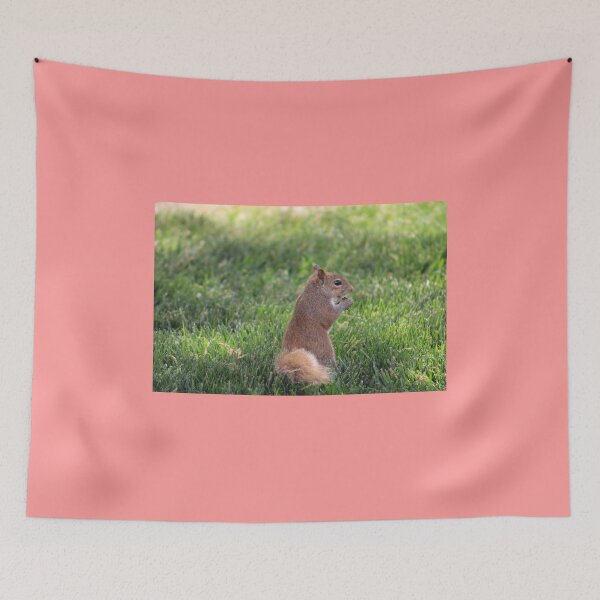 Item preview, Squirrel designed and sold by Courbney .