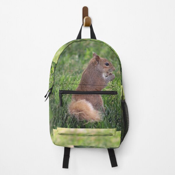 Item preview, Squirrel designed and sold by Courbney .