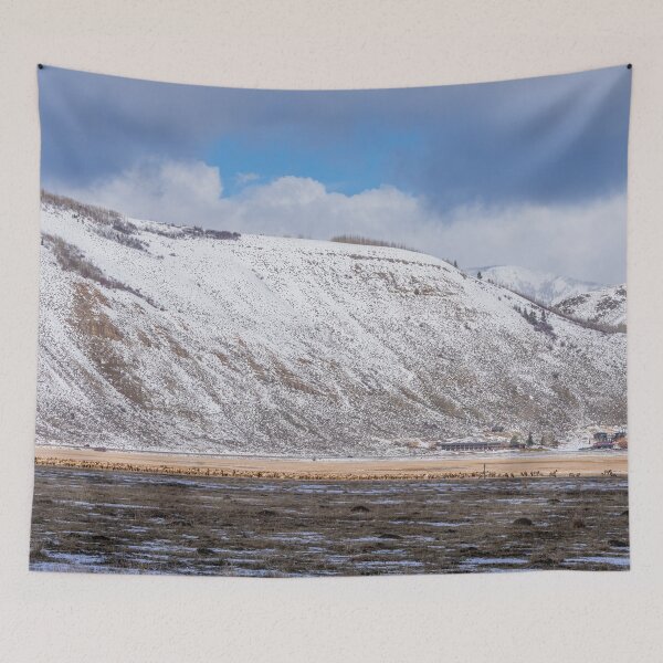 Item preview, Jackson Hole and Mountains designed and sold by SafariByMarisa.