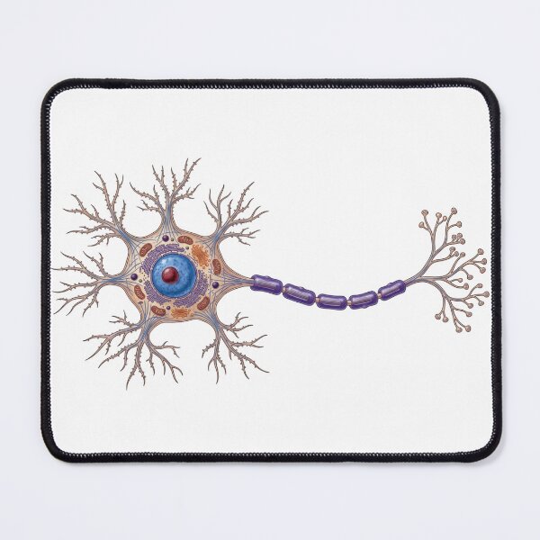 Item preview, Neuron Cell designed and sold by Chaoscience.