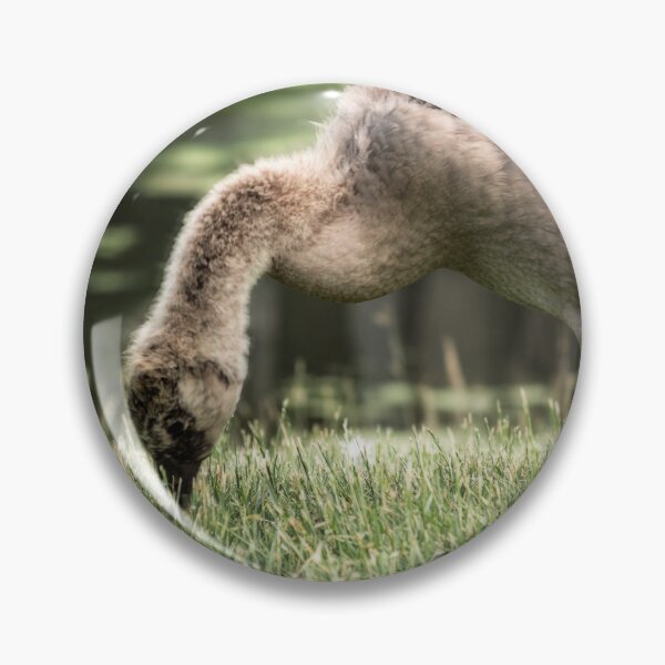 Item preview, A young gosling harvests for food. designed and sold by Joel Bader.