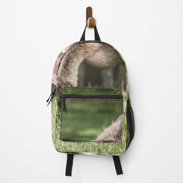 Item preview, A young gosling harvests for food. designed and sold by Joel Bader.