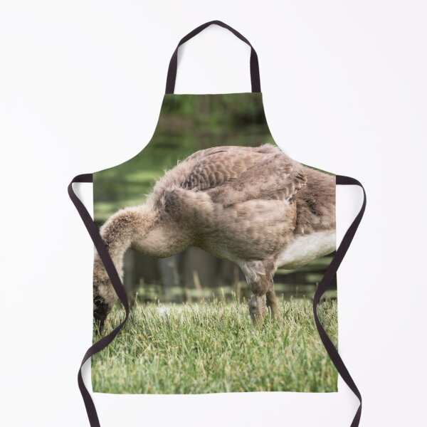 Item preview, A young gosling harvests for food. designed and sold by Joel Bader.