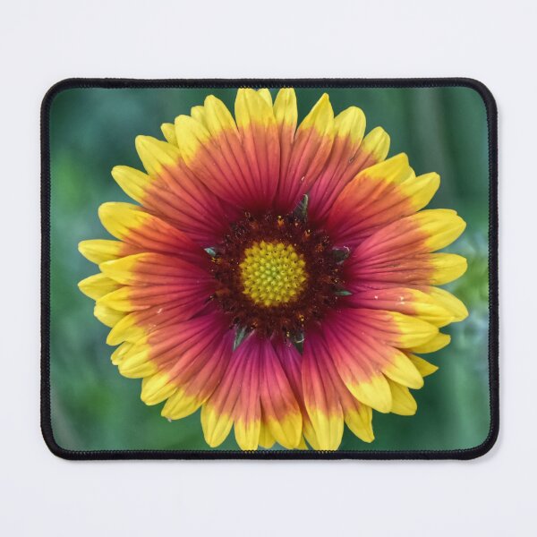 Aperçu de l'œuvre Fleur de couverture créée et vendue par StylishDecor.