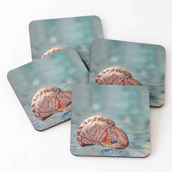 Item preview, © Trilobite Fossil designed and sold by GeoPipics.