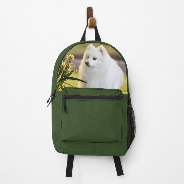 Item preview, Sunlit Spitz designed and sold by KarenWoodArt.