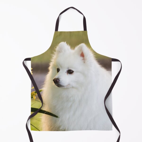 Item preview, Sunlit Spitz designed and sold by KarenWoodArt.