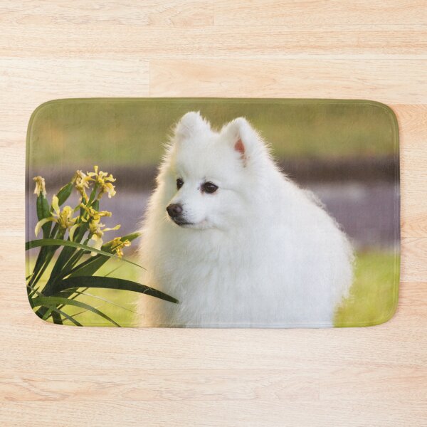 Item preview, Sunlit Spitz designed and sold by KarenWoodArt.