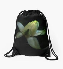 Turn your face to the sun ... Drawstring Bag