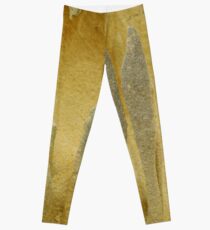 Sculpture from the Winds Leggings