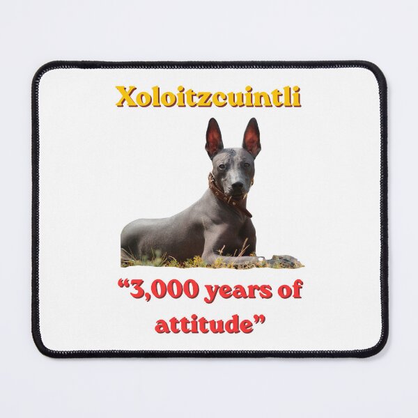 Item preview, Xoloitzcuintli, 3,000 years of attitude. Dog-Xolo designed and sold by NapoliApparel.