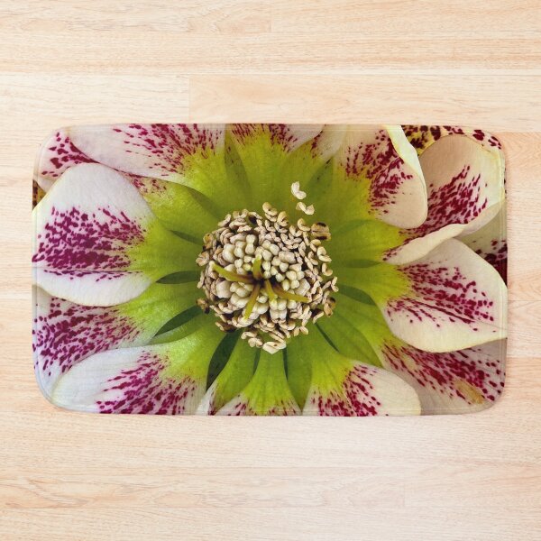 Item preview, Hellebores 'Confetti Cake' Close-Up designed and sold by bjtomiko.