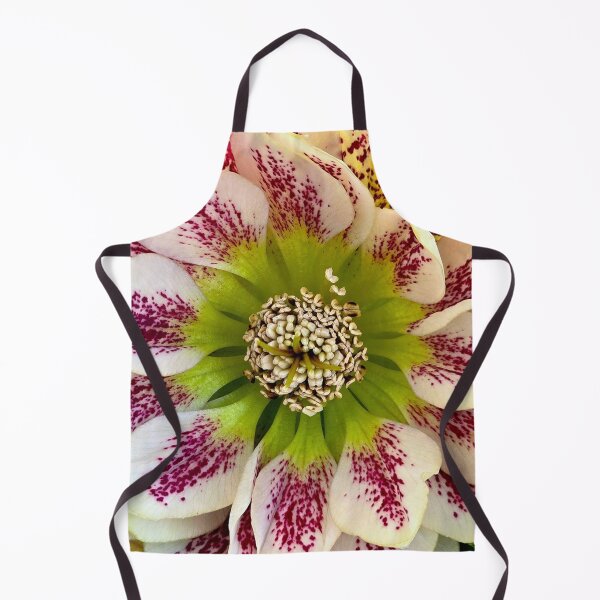 Item preview, Hellebores 'Confetti Cake' Close-Up designed and sold by bjtomiko.
