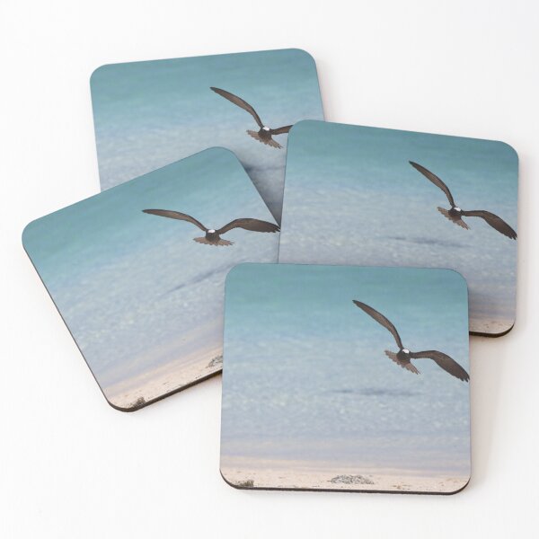 Item preview, Black noddy in flight designed and sold by ngrimley.