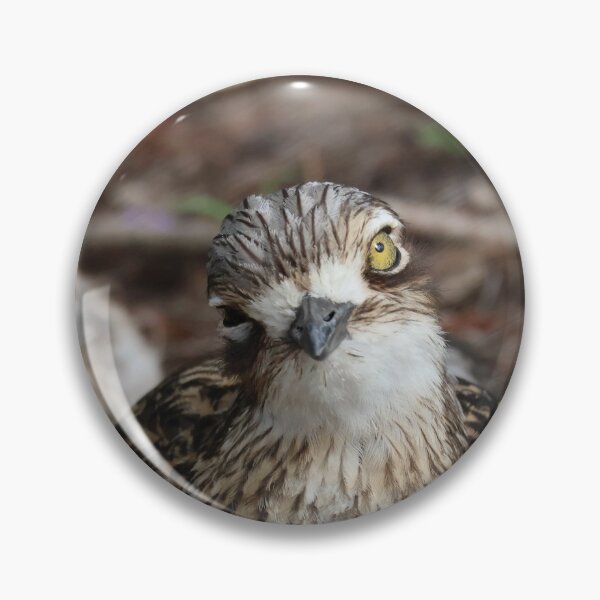 Item preview, bush-stone curlew designed and sold by ngrimley.
