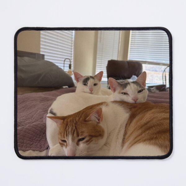 Item preview, Playful Cat Tow Lives Matter cPaws designed and sold by Arongraper.