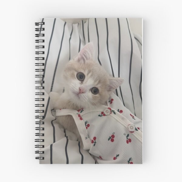 Item preview, Curious Kitten Tow Lives Matter aEyes designed and sold by Arongraper.