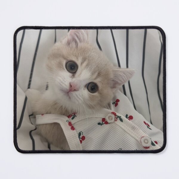 Item preview, Curious Kitten Tow Lives Matter aEyes designed and sold by Arongraper.
