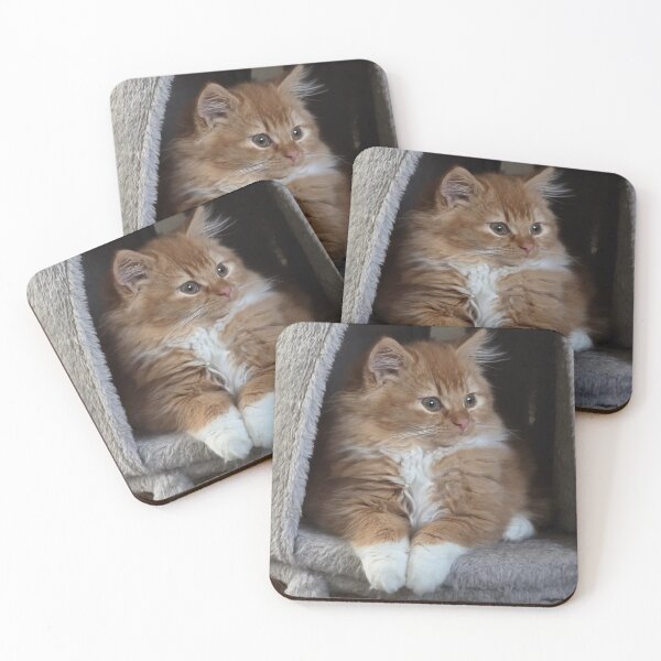 Item preview, Cat and Moon University Of Auckland cHarmony designed and sold by Arongraper.