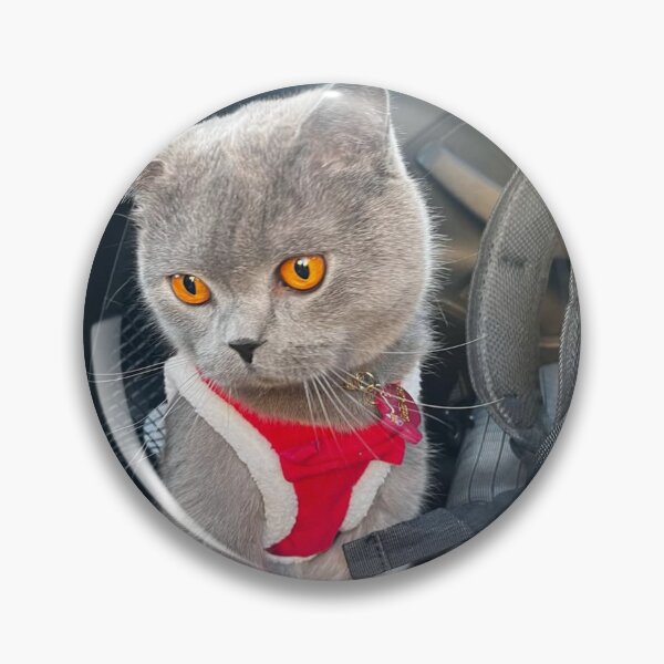 Artikelvorschau, Whisker University Of Auckland Wonder entworfen und verkauft von Arongraper.
