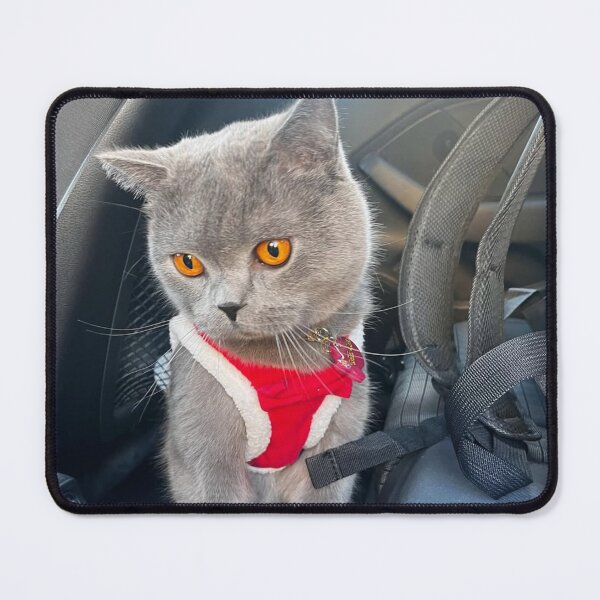 Item preview, Whisker University Of Auckland Wonder designed and sold by Arongraper.