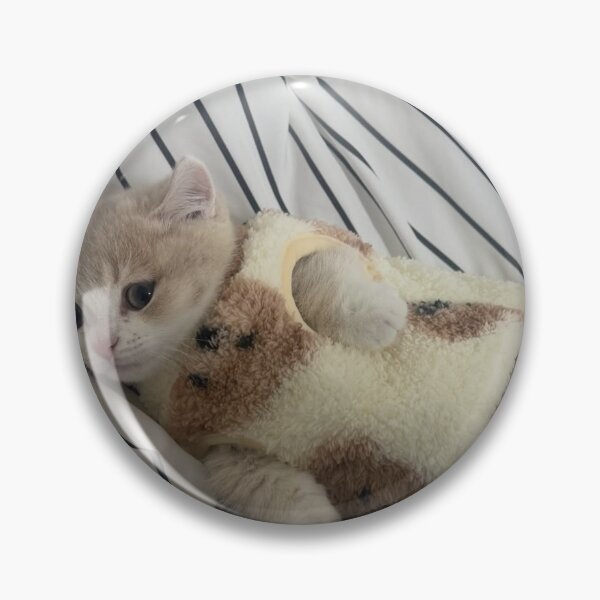 Item preview, Vintage Cat Akercocke Band aPoster designed and sold by Arongraper.
