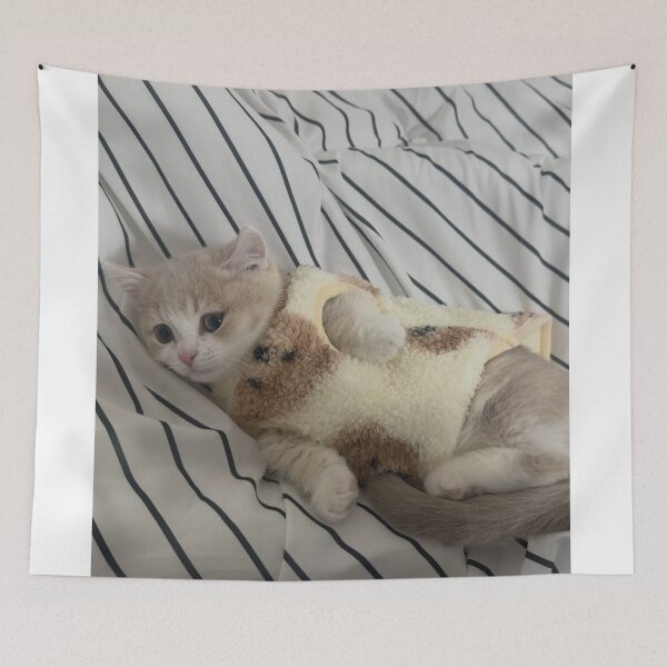 Item preview, Vintage Cat Akercocke Band aPoster designed and sold by Arongraper.