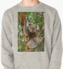 Koala Pullover