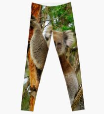 Koala Leggings