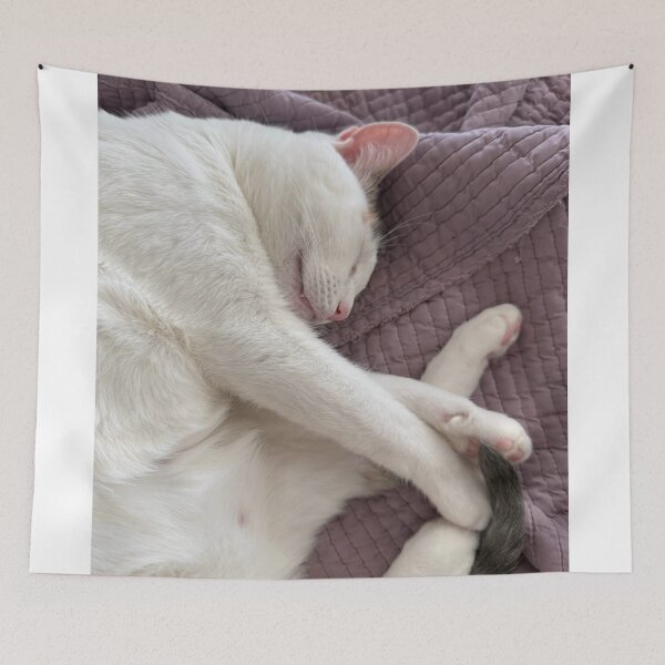 Item preview, Cats and Akercocke Band Coffee designed and sold by Arongraper.