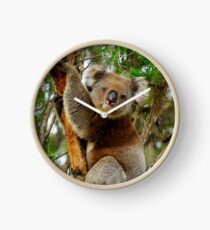 Koala Clock