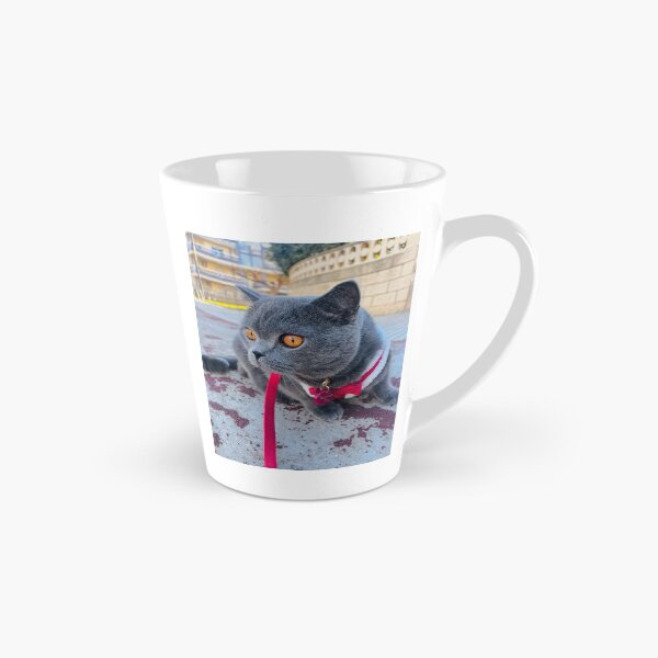 Aperçu de l'œuvre Chat avec des lunettes du festival Laneway créée et vendue par Arongraper.