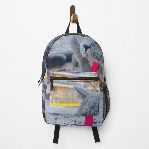 Item preview, Cat with Laneway Festival aGlasses designed and sold by Arongraper.