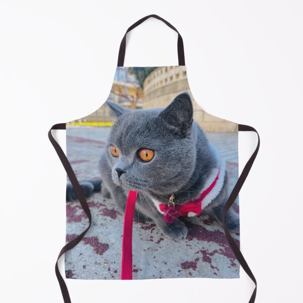 Item preview, Cat with Laneway Festival aGlasses designed and sold by Arongraper.