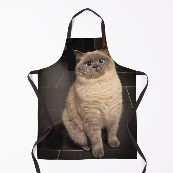 Item preview, Cat Dance The Arrow Radio Party designed and sold by Arongraper.