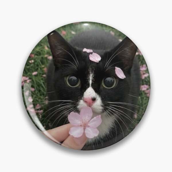 Item preview, Kitten Eaton Bussmann cPlaytime designed and sold by Arongraper.