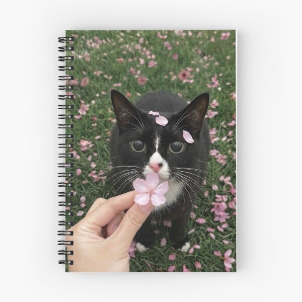 Item preview, Gatito Eaton Bussmann cTiempo de juego designed and sold by Arongraper.