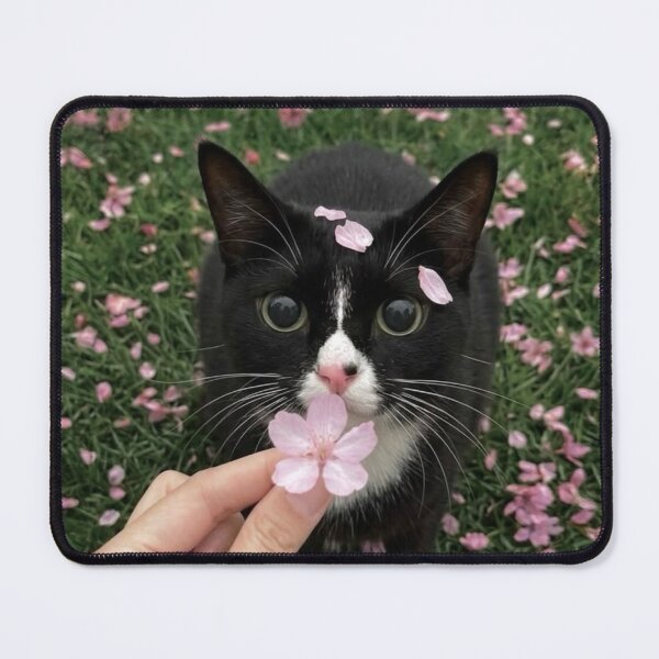 Item preview, Kitten Eaton Bussmann cPlaytime designed and sold by Arongraper.