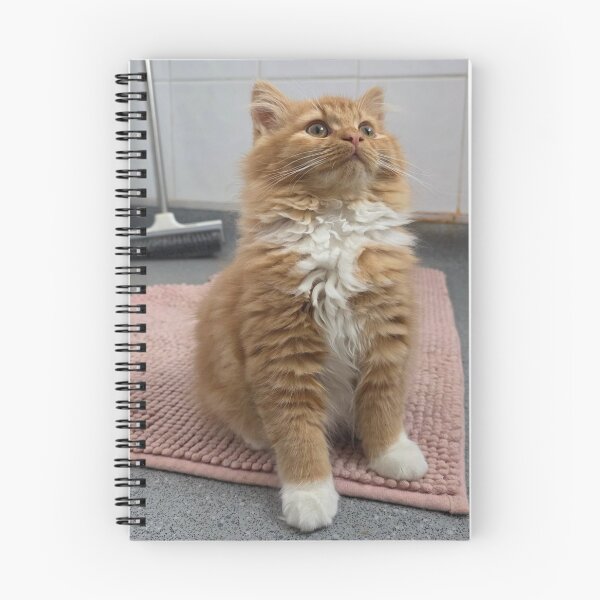 Item preview, Felino Eaton Bussmann una puesta de sol designed and sold by Arongraper.