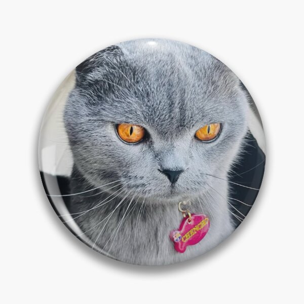 Item preview, Cat and Widerøe dButterfly designed and sold by Arongraper.