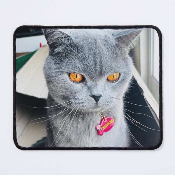 Item preview, Cat and Widerøe dButterfly designed and sold by Arongraper.