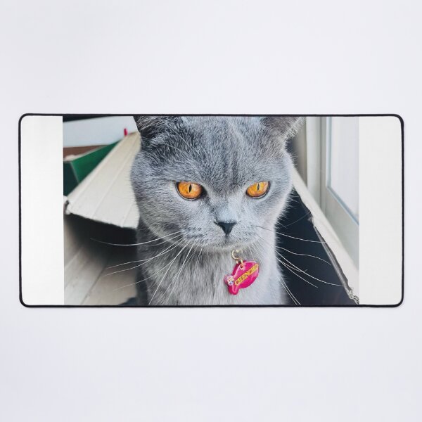 Item preview, Cat and Widerøe dButterfly designed and sold by Arongraper.