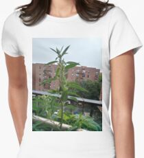 Building, #building Women's Fitted T-Shirt