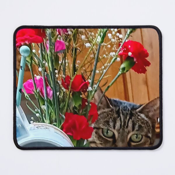 Item preview, Curious Tabby designed and sold by vernonplatt.