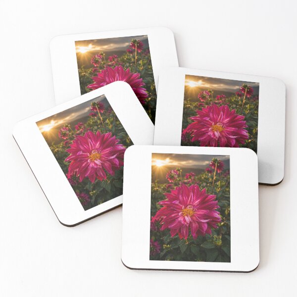 Item preview, Dahlia Field designed and sold by LizLivingstone.